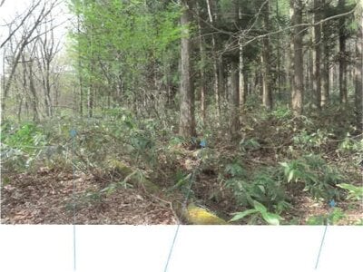 福島県耶麻郡猪苗代町 土地 211万円の競売物件 #12