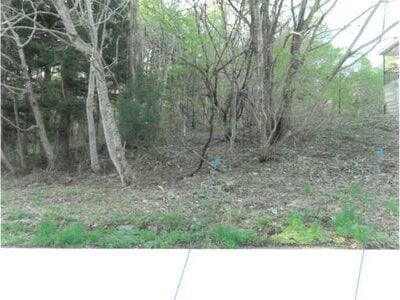 福島県耶麻郡猪苗代町 土地 211万円の競売物件 #2