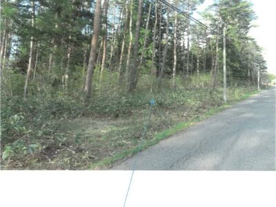 福島県耶麻郡猪苗代町 土地 211万円の競売物件 #3