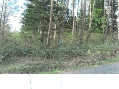 福島県耶麻郡猪苗代町 土地 211万円の競売物件 #4