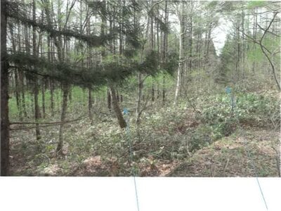 福島県耶麻郡猪苗代町 土地 211万円の競売物件 #5