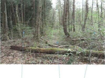 福島県耶麻郡猪苗代町 土地 211万円の競売物件 #7