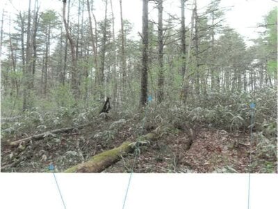 福島県耶麻郡猪苗代町 土地 211万円の競売物件 #8