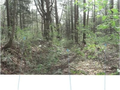 福島県耶麻郡猪苗代町 土地 211万円の競売物件 #9