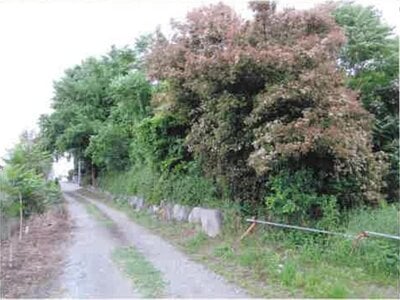 (値下げ) 群馬県伊勢崎市 新川駅 戸建て 1,130万円の競売物件 #3