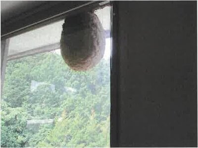 群馬県渋川市 祖母島駅 戸建て 3,674万円の競売物件 #62