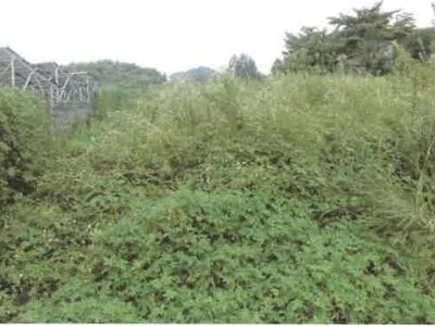 群馬県吾妻郡長野原町 袋倉駅 戸建て 498万円の競売物件 #4