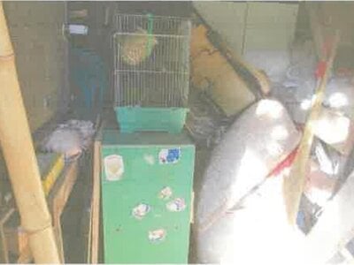 神奈川県秦野市 渋沢駅24分 戸建て 1,369万円の競売物件 #12