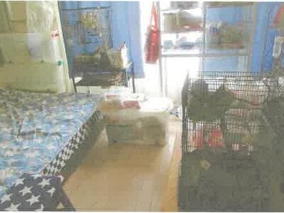 神奈川県秦野市 秦野駅24分 戸建て 414万円の競売物件 #3