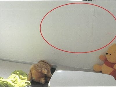 岐阜県大垣市 友江駅18分 戸建て 1,322万円の競売物件 #15