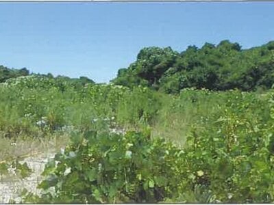 山口県宇部市 床波駅 土地 101万円の競売物件 #1