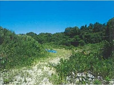 山口県宇部市 床波駅 土地 101万円の競売物件 #5