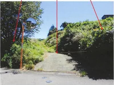 神奈川県足柄下郡湯河原町 真鶴駅10分 農地 1,699万円の競売物件 #5