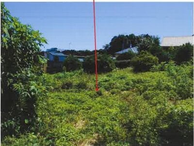 神奈川県足柄下郡湯河原町 真鶴駅10分 農地 1,699万円の競売物件 #7