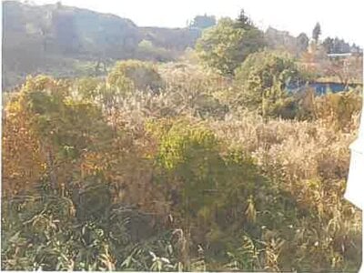 北海道二海郡八雲町 山越駅6分 戸建て 241万円の競売物件 #9