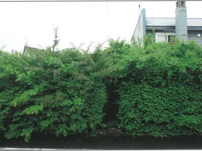 北海道上川郡新得町 新得駅10分 戸建て 59万円の競売物件 #18