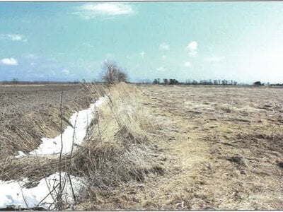 北海道十勝郡浦幌町 新吉野駅 農地 99万円の競売物件 #1