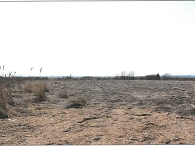 北海道十勝郡浦幌町 新吉野駅 農地 99万円の競売物件 #3