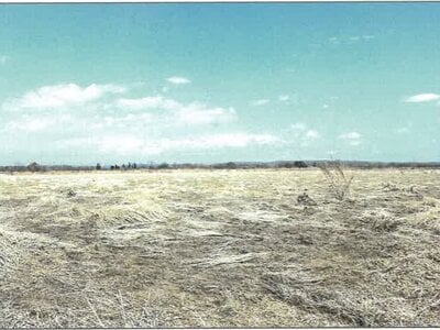 北海道十勝郡浦幌町 新吉野駅 農地 308万円の競売物件 #2