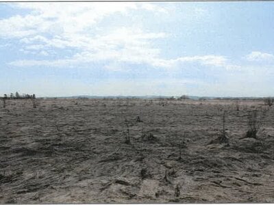 北海道十勝郡浦幌町 新吉野駅 農地 308万円の競売物件 #3