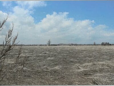 北海道十勝郡浦幌町 新吉野駅 農地 308万円の競売物件 #5