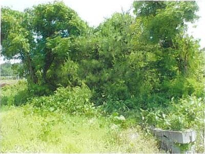 青森県上北郡おいらせ町 向山駅 土地 66万円の競売物件 #1