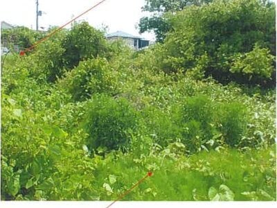 青森県上北郡おいらせ町 向山駅 土地 66万円の競売物件 #2