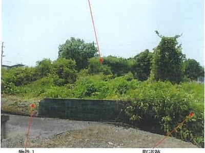 青森県上北郡おいらせ町 向山駅 土地 66万円の競売物件 #3