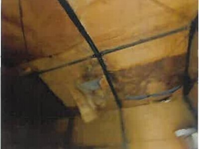 埼玉県北葛飾郡杉戸町 東武動物公園駅 戸建て 779万円の競売物件 #19