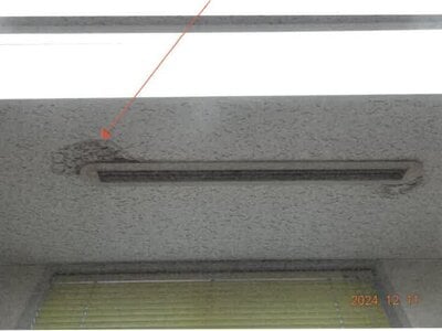 (値下げ) 奈良県御所市 近鉄御所駅1分 戸建て 1,708万円の競売物件 #12