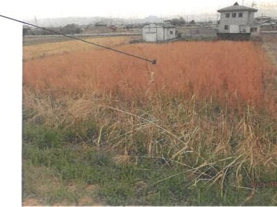 奈良県磯城郡三宅町 但馬駅6分 農地 196万円の競売物件 #1