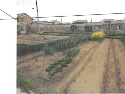 奈良県磯城郡三宅町 但馬駅10分 農地 329万円の競売物件 #1
