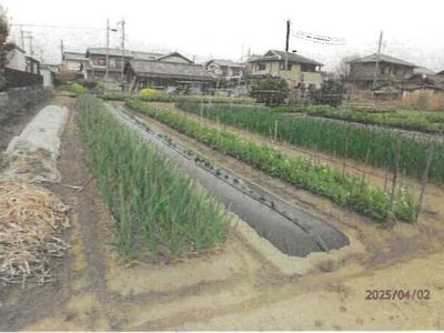 奈良県磯城郡三宅町 但馬駅10分 農地 329万円の競売物件 #3