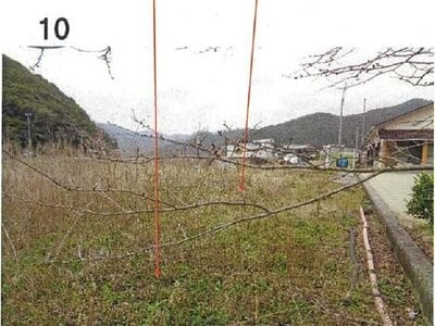 愛媛県宇和島市 土地 255万円の競売物件 #10