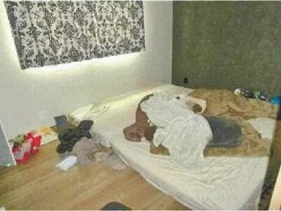 愛媛県新居浜市 新居浜駅25分 戸建て 2,081万円の競売物件 #10