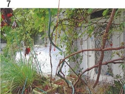 愛媛県今治市 波止浜駅17分 戸建て 361万円の競売物件 #8