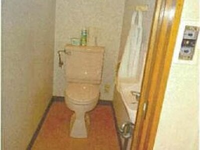 愛媛県松山市 福音寺駅25分 戸建て 1,387万円の競売物件 #12