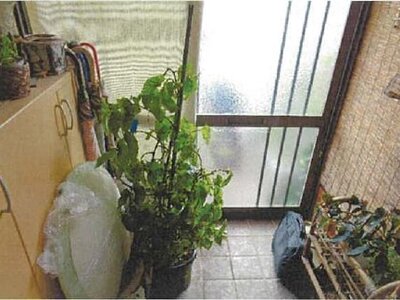 愛媛県松山市 石手川公園駅5分 戸建て 301万円の競売物件 #10