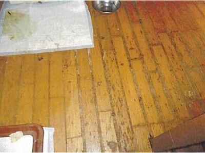 愛媛県松山市 石手川公園駅5分 戸建て 301万円の競売物件 #15