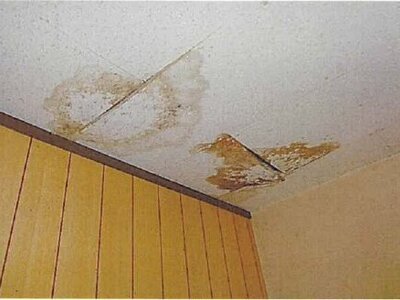 愛媛県松山市 石手川公園駅5分 戸建て 301万円の競売物件 #19