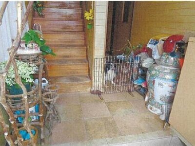 愛媛県松山市 石手川公園駅5分 戸建て 301万円の競売物件 #9