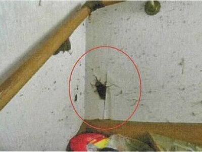 (値下げ) 愛媛県新居浜市 中萩駅23分 戸建て 206万円の競売物件 #10