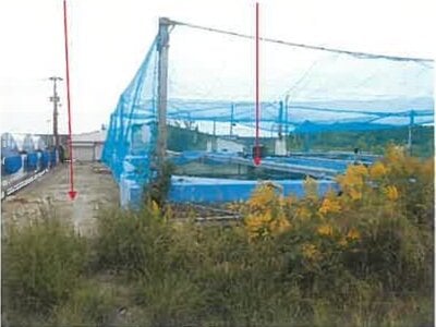 (値下げ) 熊本県八代市郡築十二番町 千丁駅 戸建て 3,705万円の競売物件 #15