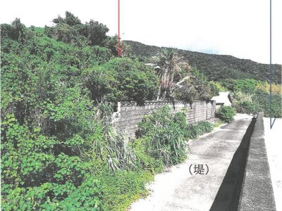 (値下げ) 鹿児島県大島郡瀬戸内町 戸建て 241万円の競売物件 #33