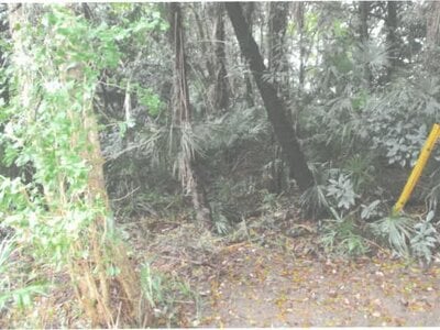 茨城県坂東市 土地 188万円の競売物件 #3