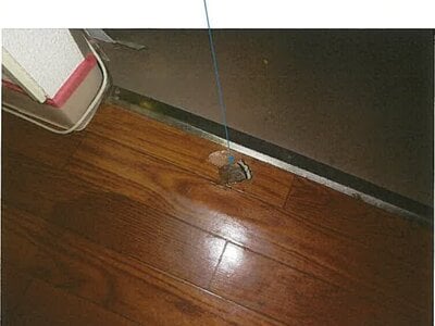 石川県金沢市 野々市駅25分 戸建て 1,900万円の競売物件 #9