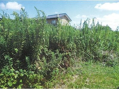 (値下げ) 石川県かほく市 宇野気駅 農地 254万円の競売物件 #2