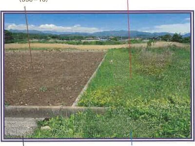 山梨県甲斐市 塩崎駅13分 農地 12万円の競売物件 #14