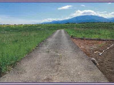 山梨県甲斐市 塩崎駅13分 農地 12万円の競売物件 #17