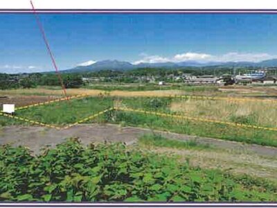 山梨県甲斐市 塩崎駅13分 農地 12万円の競売物件 #3